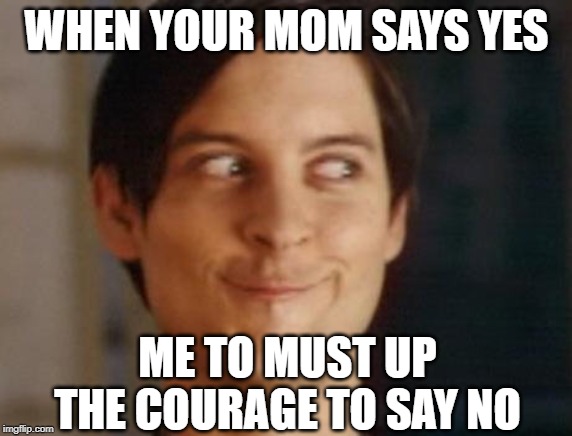 Spiderman Peter Parker | WHEN YOUR MOM SAYS YES; ME TO MUST UP THE COURAGE TO SAY NO | image tagged in memes,spiderman peter parker | made w/ Imgflip meme maker