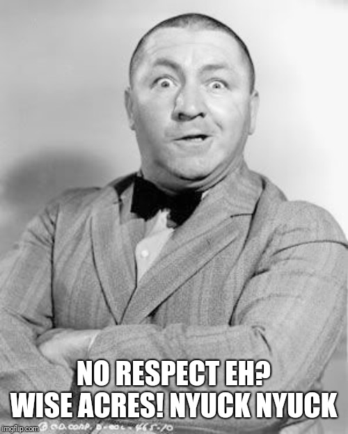 Curly | NO RESPECT EH? WISE ACRES! NYUCK NYUCK | image tagged in curly | made w/ Imgflip meme maker