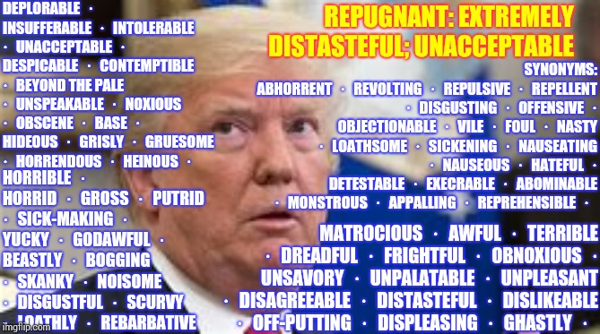 R. E. P. U. G. N. A. N. T. | DEPLORABLE · INSUFFERABLE · INTOLERABLE · UNACCEPTABLE · DESPICABLE · CONTEMPTIBLE · BEYOND THE PALE · UNSPEAKABLE · NOXIOUS · OBSCENE · BASE · HIDEOUS · GRISLY · GRUESOME · HORRENDOUS · HEINOUS · ; REPUGNANT: EXTREMELY DISTASTEFUL; UNACCEPTABLE; SYNONYMS:
ABHORRENT · REVOLTING · REPULSIVE · REPELLENT · DISGUSTING · OFFENSIVE · OBJECTIONABLE · VILE · FOUL · NASTY · LOATHSOME · SICKENING · NAUSEATING · NAUSEOUS · HATEFUL · DETESTABLE · EXECRABLE · ABOMINABLE · MONSTROUS · APPALLING · REPREHENSIBLE · ; HORRIBLE · HORRID · GROSS · PUTRID · SICK-MAKING · YUCKY · GODAWFUL · BEASTLY · BOGGING · SKANKY · NOISOME · DISGUSTFUL · SCURVY · LOATHLY · REBARBATIVE; MATROCIOUS · AWFUL · TERRIBLE · DREADFUL · FRIGHTFUL · OBNOXIOUS · UNSAVORY · UNPALATABLE · UNPLEASANT · DISAGREEABLE · DISTASTEFUL · DISLIKEABLE · OFF-PUTTING · DISPLEASING · GHASTLY ·  | image tagged in memes,donald trump,trump,impeach trump,trump unfit unqualified dangerous,trump corruption | made w/ Imgflip meme maker