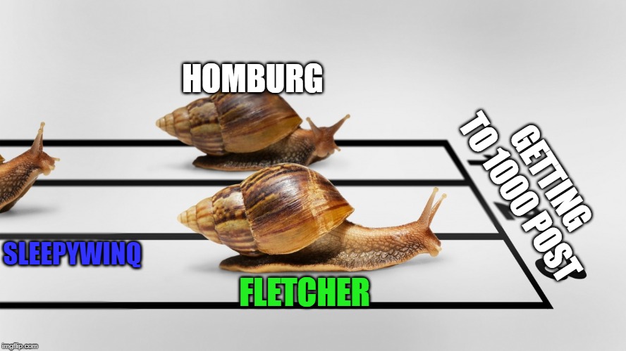 Snail race | HOMBURG; GETTING TO 1000 POST; SLEEPYWINQ; FLETCHER | image tagged in snail race | made w/ Imgflip meme maker