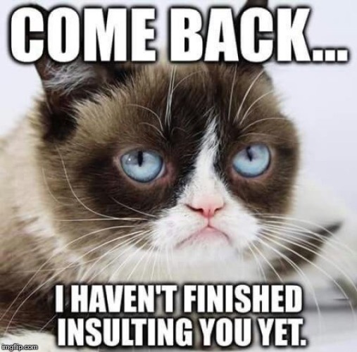 Grumpy cat | image tagged in grumpy cat,mwahahaha,be like bill,memes | made w/ Imgflip meme maker