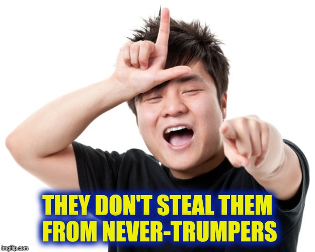 You're a loser | THEY DON'T STEAL THEM
 FROM NEVER-TRUMPERS | image tagged in you're a loser | made w/ Imgflip meme maker