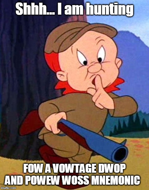 Elmer Fudd | Shhh... I am hunting; FOW A VOWTAGE DWOP AND POWEW WOSS MNEMONIC | image tagged in elmer fudd | made w/ Imgflip meme maker