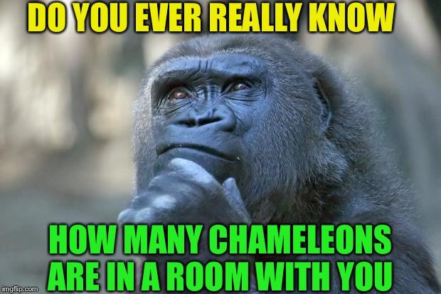 Karma
Karma 
Karma 
Karma
Karma... | DO YOU EVER REALLY KNOW; HOW MANY CHAMELEONS ARE IN A ROOM WITH YOU | image tagged in that is the question,chameleon,camouflage,scary | made w/ Imgflip meme maker