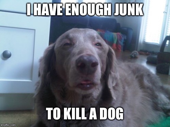 High Dog Meme | I HAVE ENOUGH JUNK; TO KILL A DOG | image tagged in memes,high dog | made w/ Imgflip meme maker