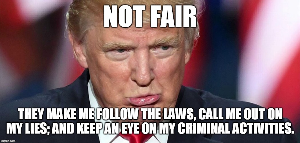 Not fair | NOT FAIR; THEY MAKE ME FOLLOW THE LAWS, CALL ME OUT ON MY LIES; AND KEEP AN EYE ON MY CRIMINAL ACTIVITIES. | image tagged in not fair,criminal,laws,trump | made w/ Imgflip meme maker