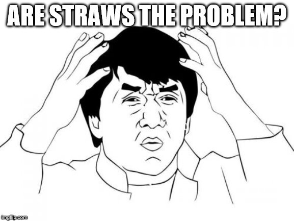 Jackie Chan WTF Meme | ARE STRAWS THE PROBLEM? | image tagged in memes,jackie chan wtf | made w/ Imgflip meme maker