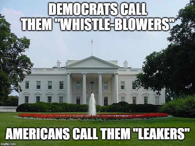 whistle blower | DEMOCRATS CALL THEM "WHISTLE-BLOWERS"; AMERICANS CALL THEM "LEAKERS" | image tagged in democrats,republicans,politics,donald trump,funny,congress | made w/ Imgflip meme maker