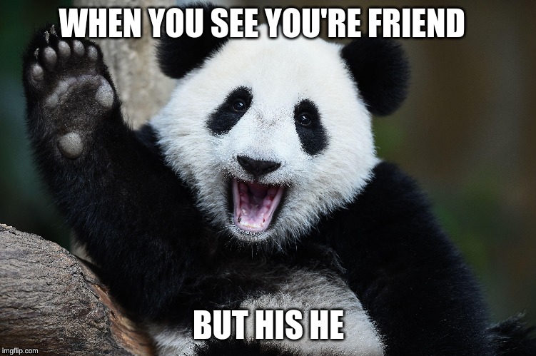 WHEN YOU SEE YOU'RE FRIEND; BUT HIS HE | made w/ Imgflip meme maker