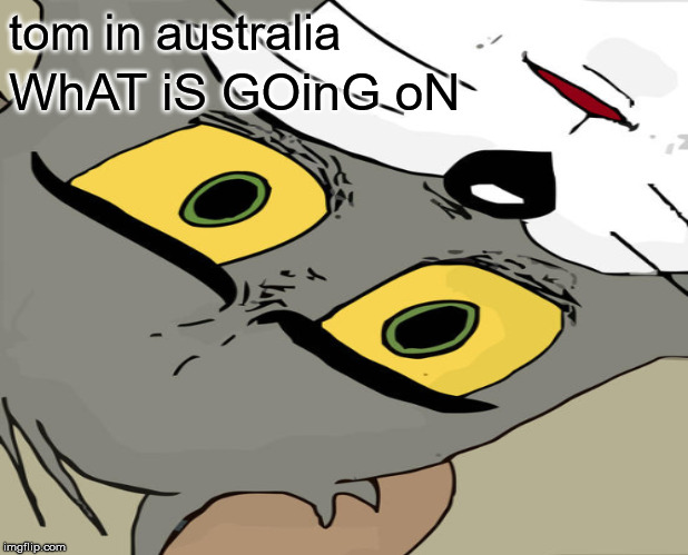oof | tom in australia; WhAT iS GOinG oN | image tagged in tom and jerry,cat,austraila | made w/ Imgflip meme maker