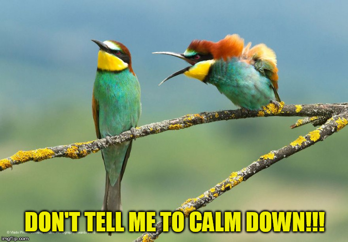 DON'T TELL ME TO CALM DOWN!!! | made w/ Imgflip meme maker
