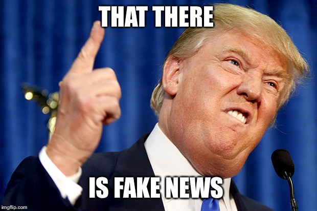 Donald Trump | THAT THERE IS FAKE NEWS | image tagged in donald trump | made w/ Imgflip meme maker