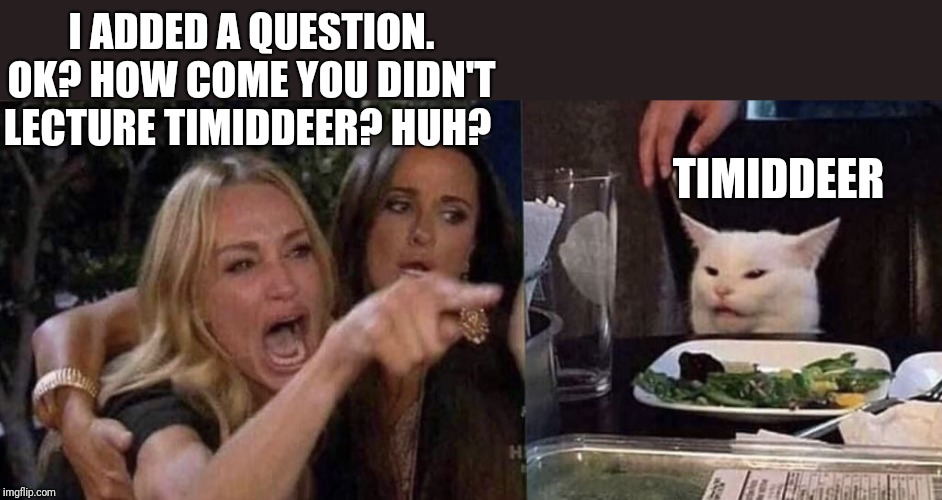 woman yelling at cat | I ADDED A QUESTION. OK? HOW COME YOU DIDN'T LECTURE TIMIDDEER? HUH? TIMIDDEER | image tagged in woman yelling at cat | made w/ Imgflip meme maker