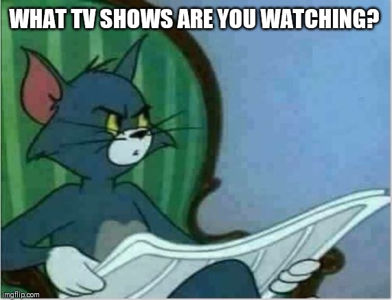 Interrupting Tom's Read | WHAT TV SHOWS ARE YOU WATCHING? | image tagged in interrupting tom's read | made w/ Imgflip meme maker