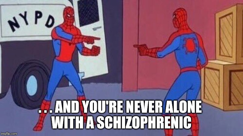 spiderman pointing at spiderman | . . . AND YOU'RE NEVER ALONE 
WITH A SCHIZOPHRENIC | image tagged in spiderman pointing at spiderman | made w/ Imgflip meme maker