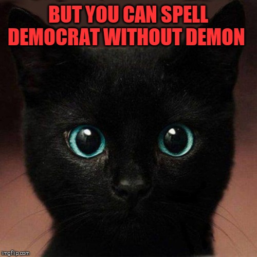 BUT YOU CAN SPELL DEMOCRAT WITHOUT DEMON | made w/ Imgflip meme maker