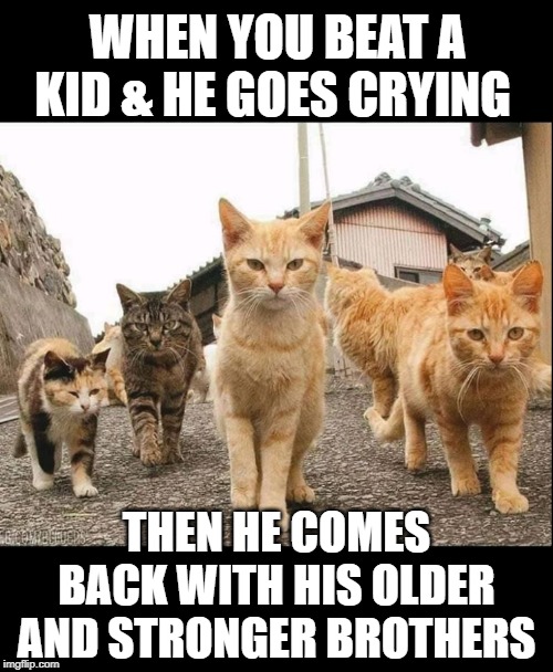 Street fighters | WHEN YOU BEAT A KID & HE GOES CRYING; THEN HE COMES BACK WITH HIS OLDER AND STRONGER BROTHERS | image tagged in funny | made w/ Imgflip meme maker