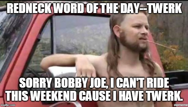 almost politically correct redneck | REDNECK WORD OF THE DAY--TWERK; SORRY BOBBY JOE, I CAN'T RIDE THIS WEEKEND CAUSE I HAVE TWERK. | image tagged in almost politically correct redneck | made w/ Imgflip meme maker