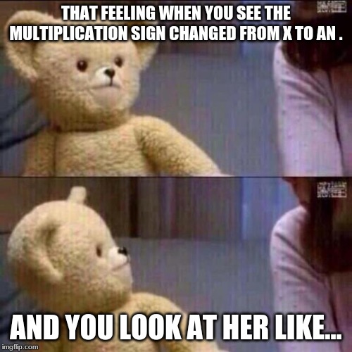 shocked bear | THAT FEELING WHEN YOU SEE THE MULTIPLICATION SIGN CHANGED FROM X TO AN . AND YOU LOOK AT HER LIKE... | image tagged in shocked bear | made w/ Imgflip meme maker