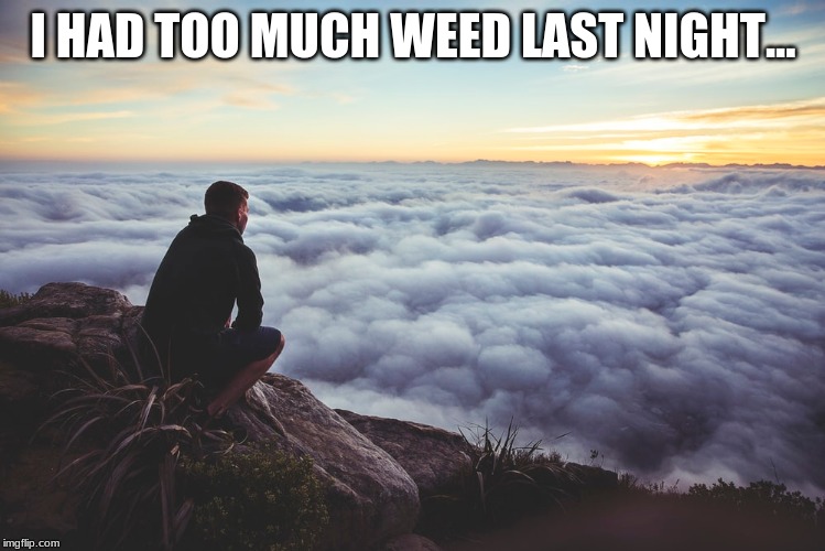 I HAD TOO MUCH WEED LAST NIGHT... | image tagged in funny,memes,weed,too damn high | made w/ Imgflip meme maker