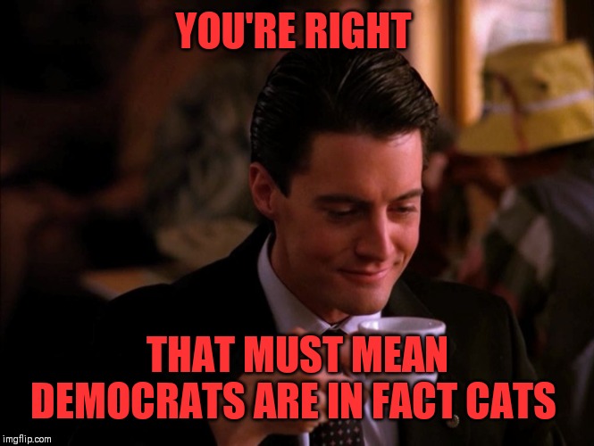 Twin Peaks Coffee | YOU'RE RIGHT THAT MUST MEAN DEMOCRATS ARE IN FACT CATS | image tagged in twin peaks coffee | made w/ Imgflip meme maker