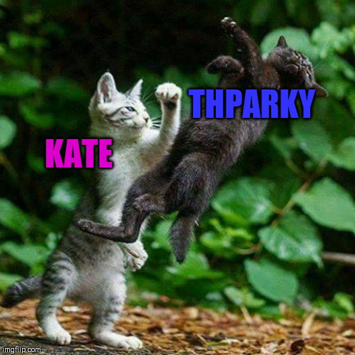 Cat Fight | KATE THPARKY | image tagged in cat fight | made w/ Imgflip meme maker