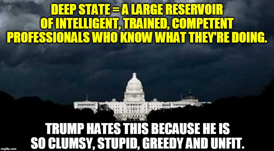 We used to assume anybody in public life was a patriot. Not Trump. He's a Trumpist. | DEEP STATE = A LARGE RESERVOIR OF INTELLIGENT, TRAINED, COMPETENT PROFESSIONALS WHO KNOW WHAT THEY'RE DOING. TRUMP HATES THIS BECAUSE HE IS SO CLUMSY, STUPID, GREEDY AND UNFIT. | image tagged in deep state,trump,clumsy,stupid,greedy,unfit | made w/ Imgflip meme maker