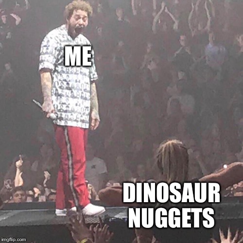 Post Malone happy | ME; DINOSAUR NUGGETS | image tagged in post malone happy | made w/ Imgflip meme maker