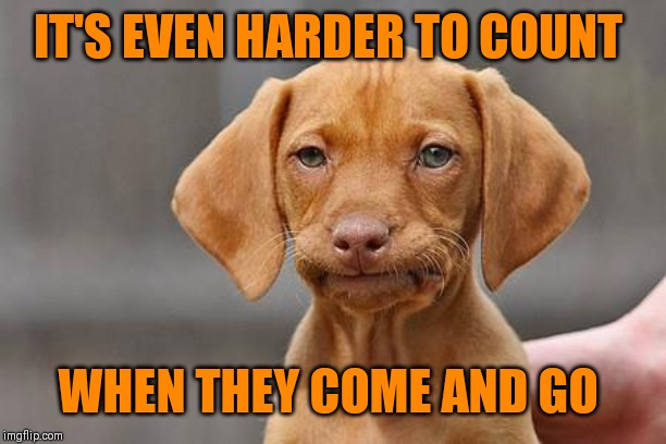 Dissapointed puppy | IT'S EVEN HARDER TO COUNT WHEN THEY COME AND GO | image tagged in dissapointed puppy | made w/ Imgflip meme maker