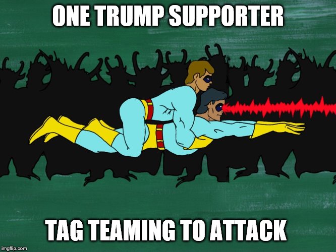 Gay Duo | ONE TRUMP SUPPORTER TAG TEAMING TO ATTACK | image tagged in gay duo | made w/ Imgflip meme maker
