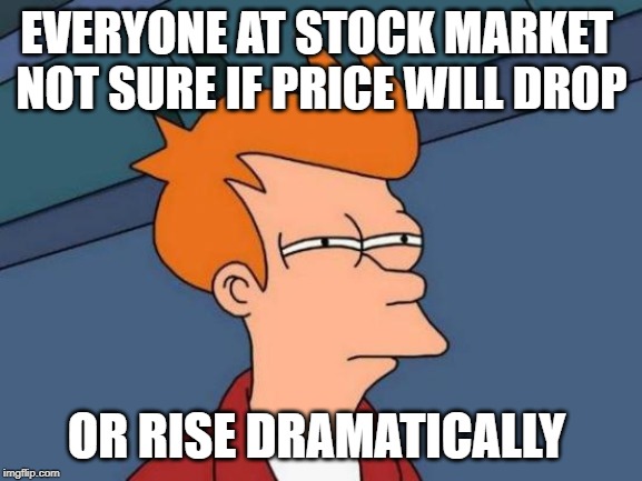 Futurama Fry | EVERYONE AT STOCK MARKET 
NOT SURE IF PRICE WILL DROP; OR RISE DRAMATICALLY | image tagged in memes,futurama fry | made w/ Imgflip meme maker