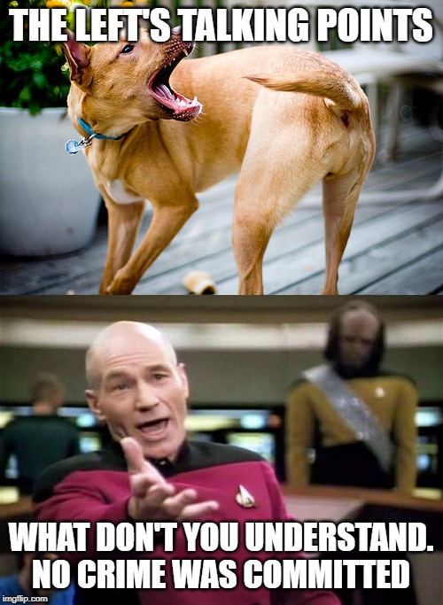 THE LEFT'S TALKING POINTS; WHAT DON'T YOU UNDERSTAND. NO CRIME WAS COMMITTED | image tagged in memes,picard wtf,dog chasing tail | made w/ Imgflip meme maker