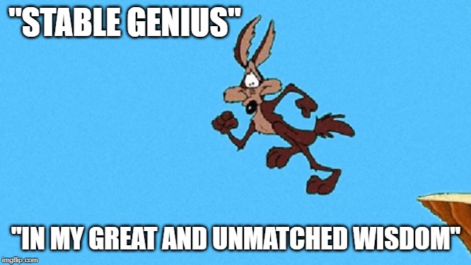 wiley coyote | "STABLE GENIUS"; "IN MY GREAT AND UNMATCHED WISDOM" | image tagged in wiley coyote | made w/ Imgflip meme maker