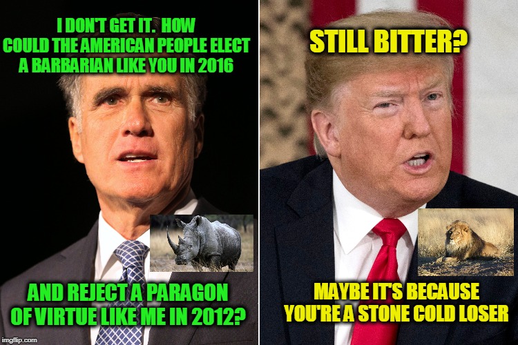 Behind the Twitter Wars | I DON'T GET IT.  HOW COULD THE AMERICAN PEOPLE ELECT A BARBARIAN LIKE YOU IN 2016; STILL BITTER? AND REJECT A PARAGON OF VIRTUE LIKE ME IN 2012? MAYBE IT'S BECAUSE YOU'RE A STONE COLD LOSER | image tagged in mitt romney,president trump,twitter | made w/ Imgflip meme maker