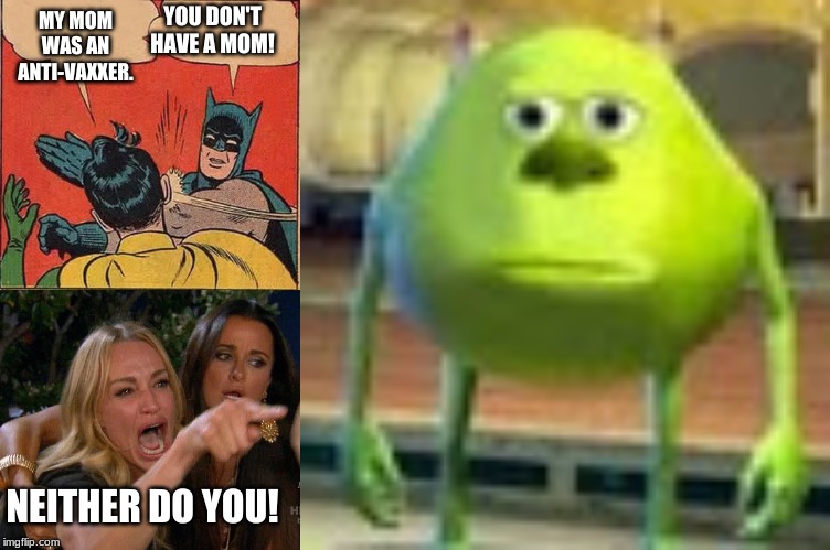 YOU DON'T HAVE A MOM! MY MOM WAS AN ANTI-VAXXER. NEITHER DO YOU! | image tagged in memes,batman slapping robin,sully wazowski,woman and cat yelling at eachother | made w/ Imgflip meme maker
