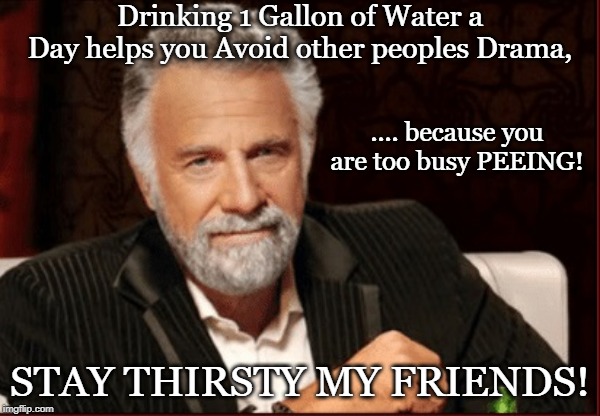 How to Avoid Drama | Drinking 1 Gallon of Water a Day helps you Avoid other peoples Drama, .... because you are too busy PEEING! STAY THIRSTY MY FRIENDS! | image tagged in drama,stay thirsty,peeing,water | made w/ Imgflip meme maker