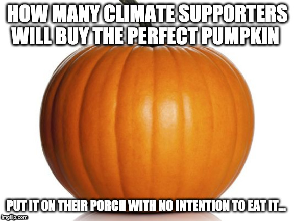 pumpkin | HOW MANY CLIMATE SUPPORTERS WILL BUY THE PERFECT PUMPKIN; PUT IT ON THEIR PORCH WITH NO INTENTION TO EAT IT... | image tagged in pumpkin | made w/ Imgflip meme maker