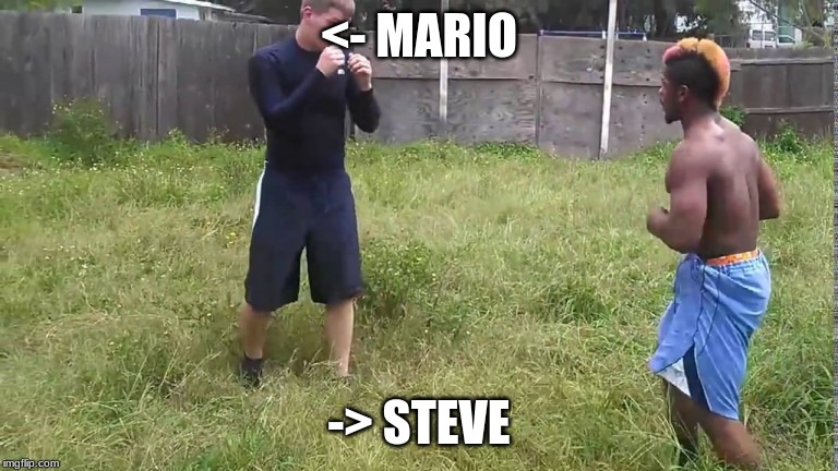 2 men | <- MARIO; -> STEVE | image tagged in 2 men | made w/ Imgflip meme maker
