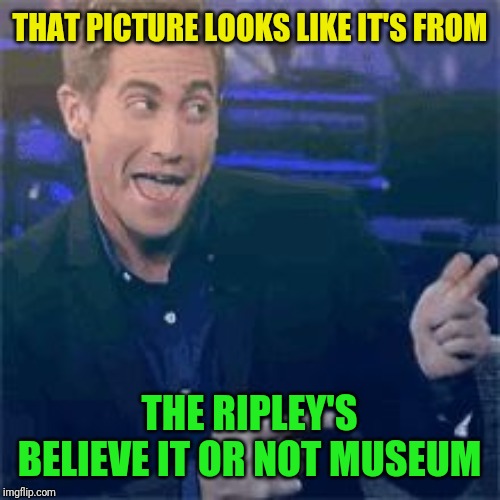THAT PICTURE LOOKS LIKE IT'S FROM THE RIPLEY'S BELIEVE IT OR NOT MUSEUM | made w/ Imgflip meme maker