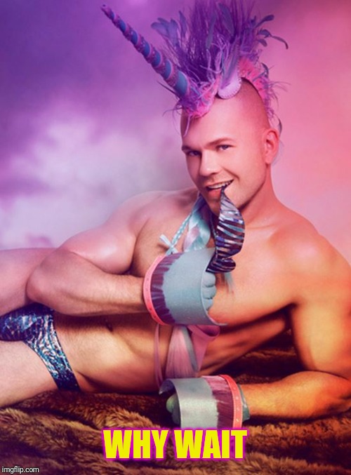 Sexy Gay Unicorn | WHY WAIT | image tagged in sexy gay unicorn | made w/ Imgflip meme maker