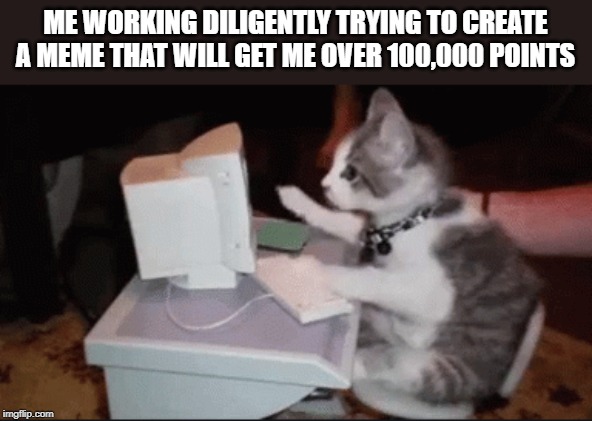 A Cat Call | ME WORKING DILIGENTLY TRYING TO CREATE A MEME THAT WILL GET ME OVER 100,000 POINTS | image tagged in cat,memes | made w/ Imgflip meme maker