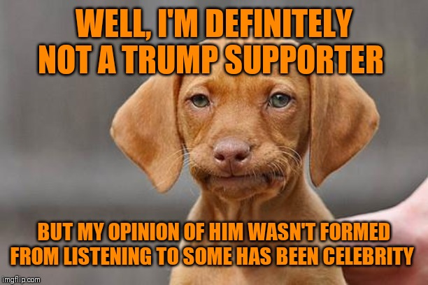 Dissapointed puppy | WELL, I'M DEFINITELY NOT A TRUMP SUPPORTER BUT MY OPINION OF HIM WASN'T FORMED FROM LISTENING TO SOME HAS BEEN CELEBRITY | image tagged in dissapointed puppy | made w/ Imgflip meme maker