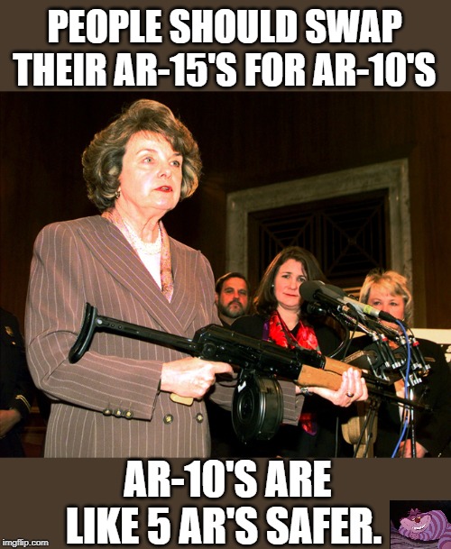 Diane Feinstein AK47 | PEOPLE SHOULD SWAP THEIR AR-15'S FOR AR-10'S; AR-10'S ARE LIKE 5 AR'S SAFER. | image tagged in diane feinstein ak47 | made w/ Imgflip meme maker