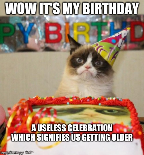 Grumpy Cat Birthday Meme | WOW IT'S MY BIRTHDAY; A USELESS CELEBRATION WHICH SIGNIFIES US GETTING OLDER | image tagged in memes,grumpy cat birthday,grumpy cat | made w/ Imgflip meme maker