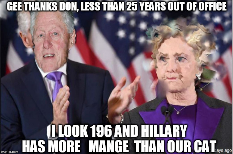 GEE THANKS DON, LESS THAN 25 YEARS OUT OF OFFICE I LOOK 196 AND HILLARY HAS MORE   MANGE  THAN OUR CAT | made w/ Imgflip meme maker
