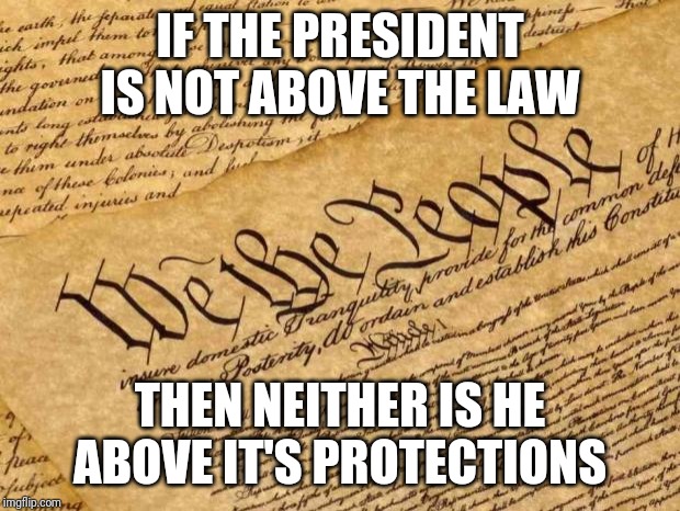 Constitution | IF THE PRESIDENT IS NOT ABOVE THE LAW THEN NEITHER IS HE ABOVE IT'S PROTECTIONS | image tagged in constitution | made w/ Imgflip meme maker