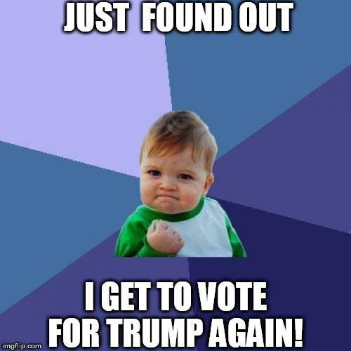 YESSS! | JUST  FOUND OUT; I GET TO VOTE FOR TRUMP AGAIN! | image tagged in memes,success kid,nice,thats what im talkin  bout,trump | made w/ Imgflip meme maker