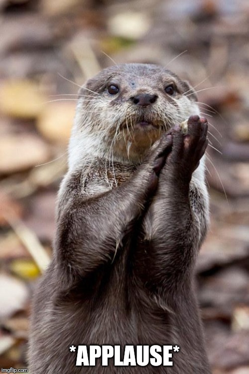 Slow-Clap Otter | *APPLAUSE* | image tagged in slow-clap otter | made w/ Imgflip meme maker