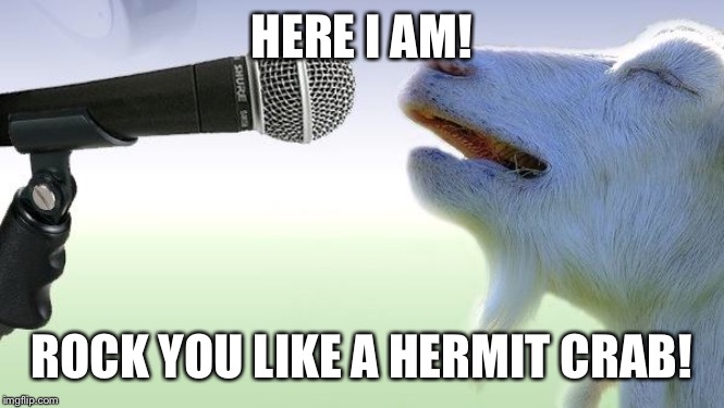 goat singing | HERE I AM! ROCK YOU LIKE A HERMIT CRAB! | image tagged in goat singing | made w/ Imgflip meme maker