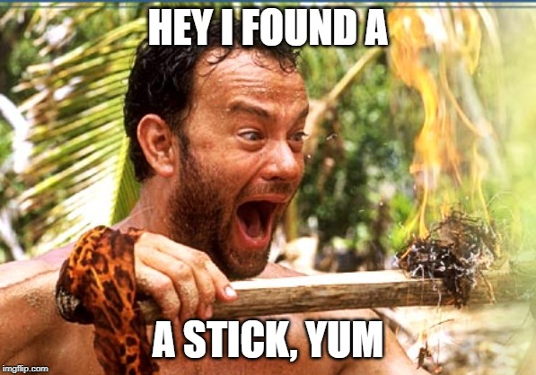 Castaway Fire | HEY I FOUND A; A STICK, YUM | image tagged in memes,castaway fire | made w/ Imgflip meme maker